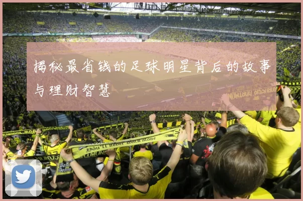 揭秘最省钱的足球明星背后的故事与理财智慧