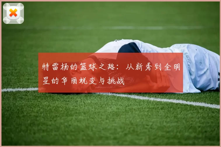 特雷杨的篮球之路：从新秀到全明星的华丽蜕变与挑战